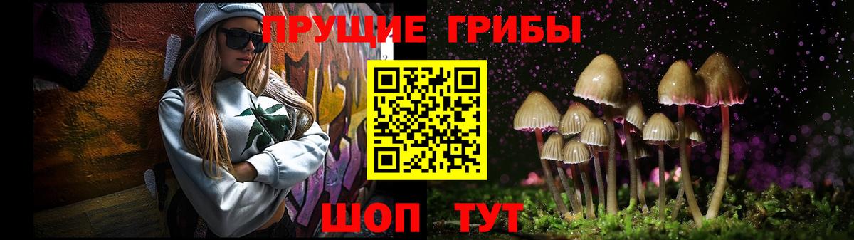 Черемхово  Псилоцибиновые грибы Cubensis  купить закладку  Псилоцибиновые грибы Cubensis  Вход с VPN 